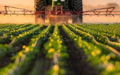 AGRICULTURE