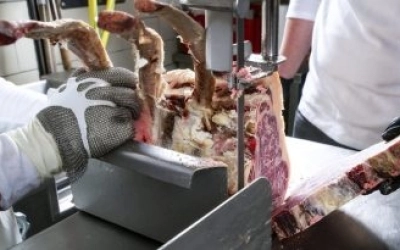 DÉSINFECTION DES COUTEAUX, HÄCHOIRS, SCIES A VIANDES, TRANçONNEUSES, MACHINES A BROYER