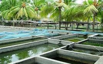 L’eau d’irrigation